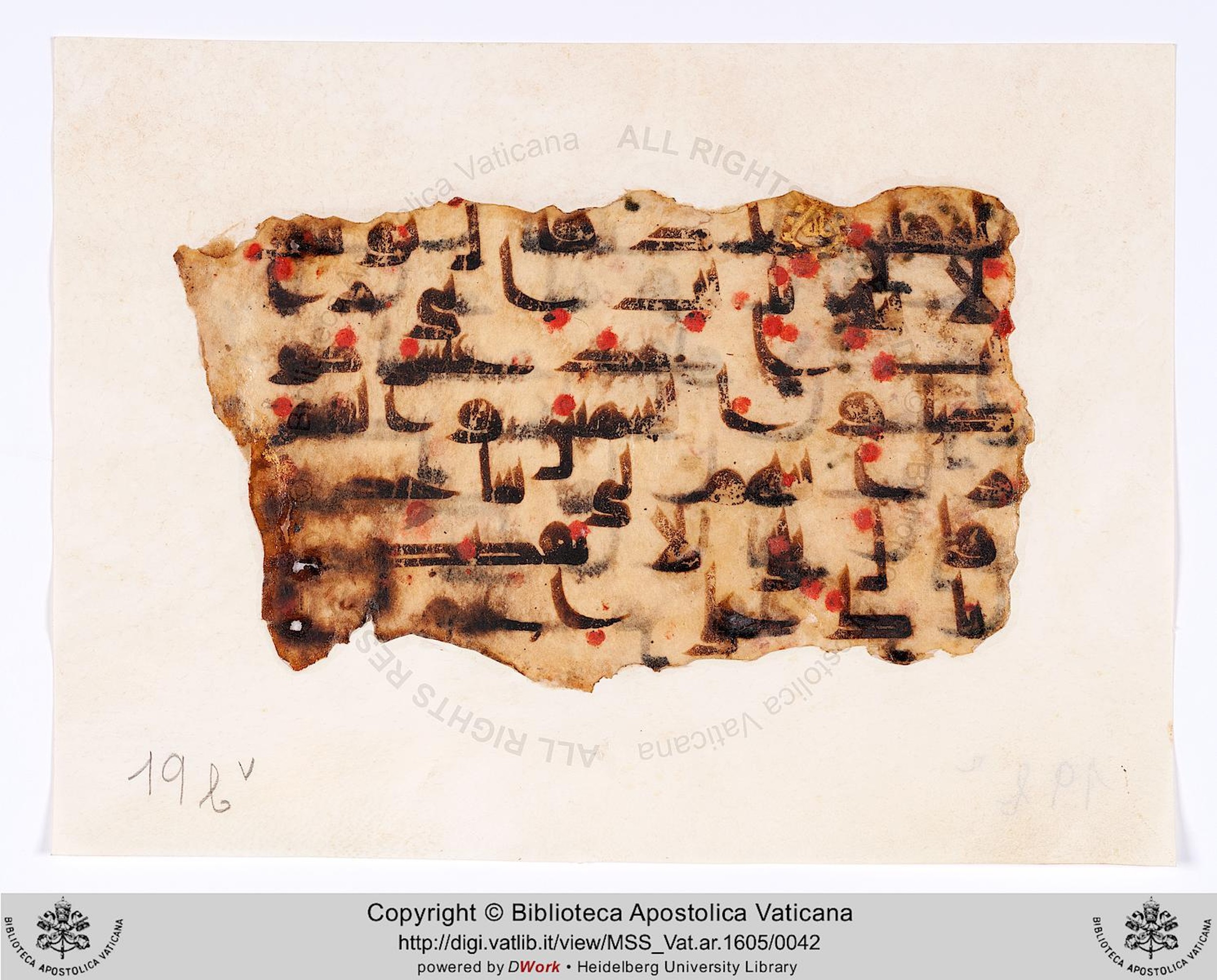 Vat. Ar. 1605 (19), in Kūfī D.II script, showing Surah 12:4 from 8th to 9th Century AD found in Fustat (Old Cairo), Egypt, currently housed at Biblioteca Apostolica Vaticana, Rome